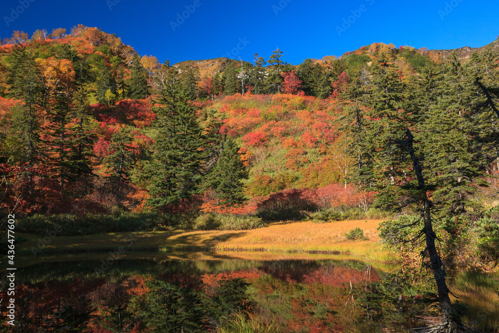 Fototapeta premium 紅葉の大雪高原沼めぐり(滝見沼)