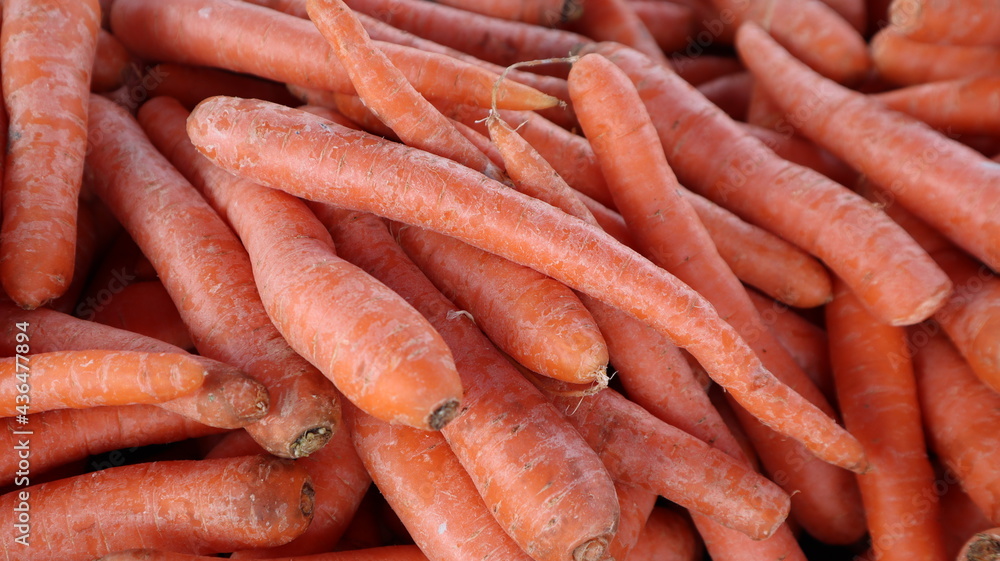 Group of fresh carrots on the market stand. Orange colored organic Ripe carrot background at the vegetable store. Group of fresh carrots on the market stand. Orange colored organic Ripe carrot background at the vegetable store.