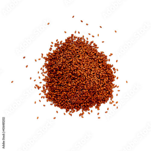 Camelina sativa seed isolate. Raw materials for the manufacture of camelina oil. Oilseeds of agricultural crops. Top view of seeds.