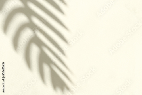 Silhouette of the shadow of a crooked branch of a palm tree and foliage from sunlight on a light yellow background and copy space. Minimal trending concept.