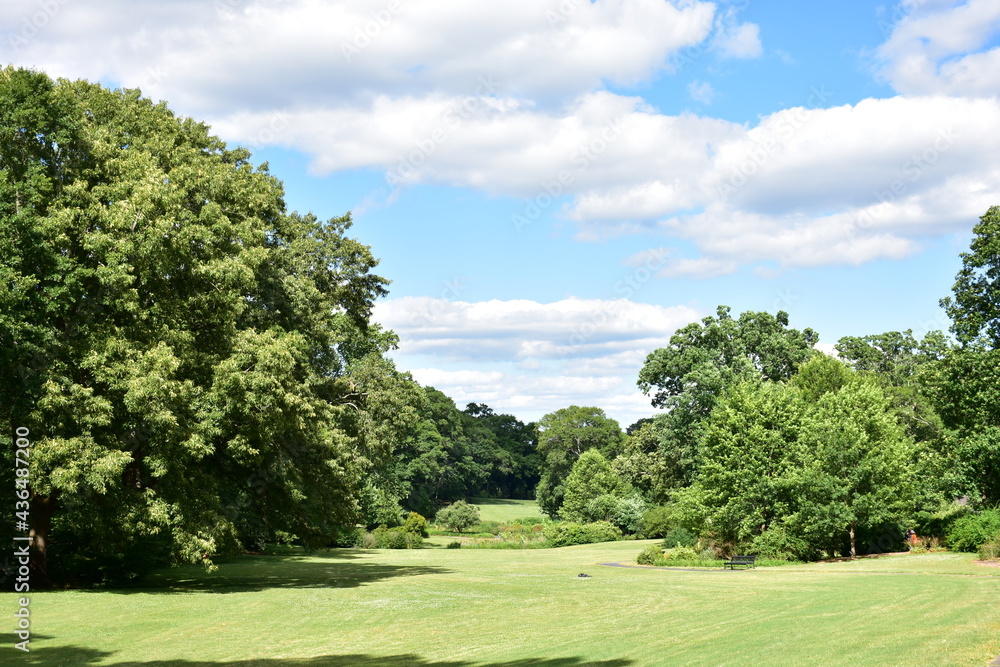 Lush park landscape with a cloudy blue sky 