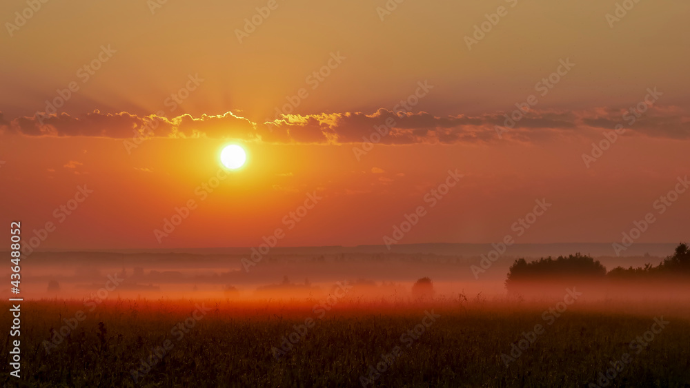 red dawn in the fog in a field with grass and trees red dawn in the fog in a field with grass and trees