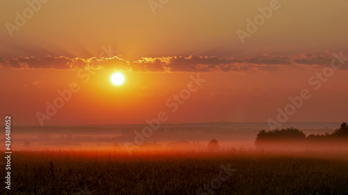 red dawn in the fog in a field with grass and trees