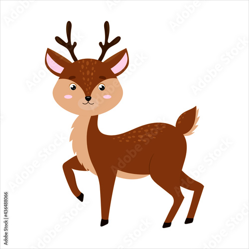 cute fawn isolated on white background. santa claus   New Year s reindeer