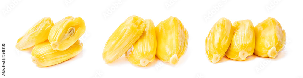 Collection of ripe Jackfruit isolated on white background Collection of ripe Jackfruit isolated on white background