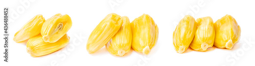 Collection of ripe Jackfruit isolated on white background