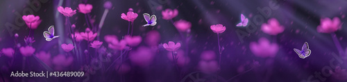 Night summer meadow with violet flowers and flying butterflies in light of moon rays. Beautiful nature panoramic banner in dark tones.
