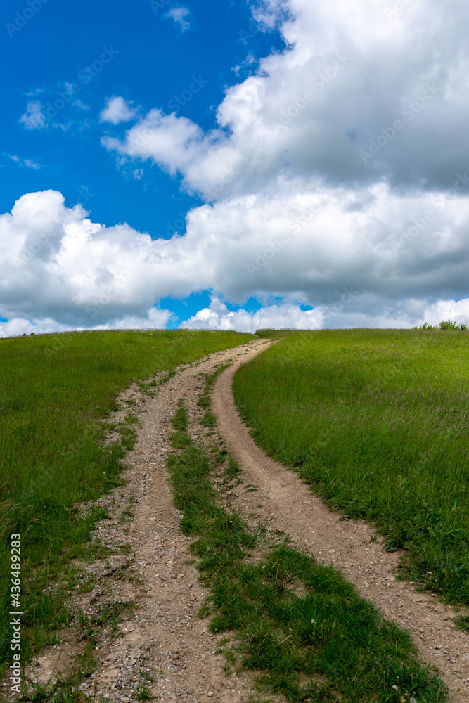Vertical image, dirt road leading to the top of the green hill at springtime, blue sky with white clouds. Vertical image, dirt road leading to the top of the green hill at springtime, blue sky with white clouds.