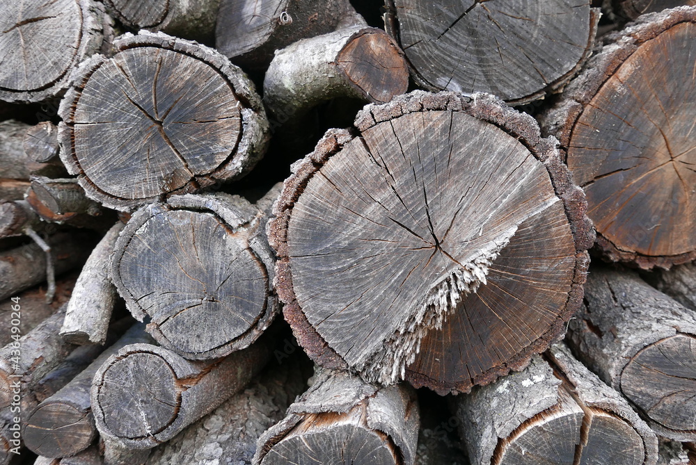 Wood pile in the French countryside Wood pile in the French countryside