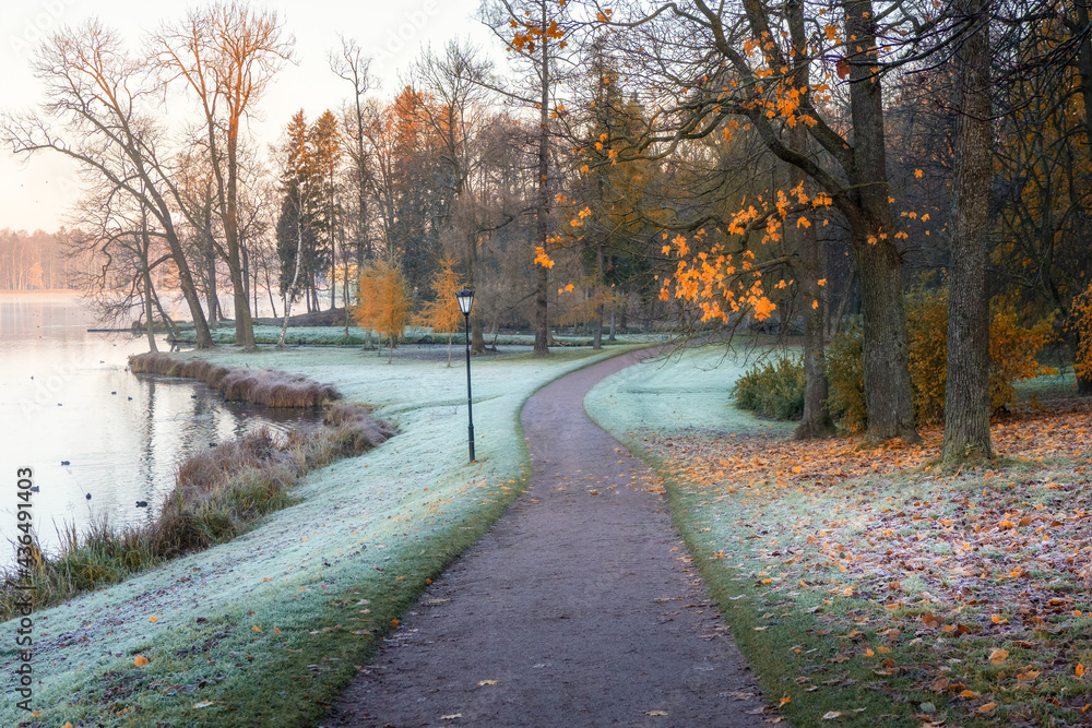 Morning foggy autumn landscape with red trees by the lake. A winding path covered with frost.