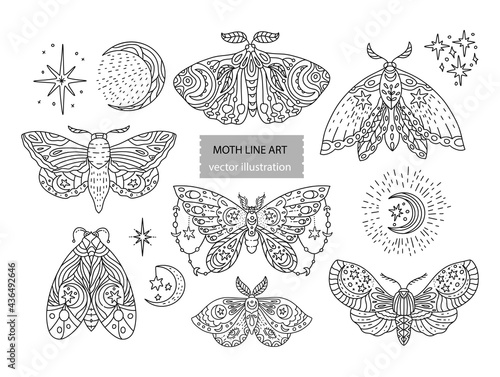 Boho butterfly line vector set. Beautiful moth vector magic ornament, celestial element illustration.