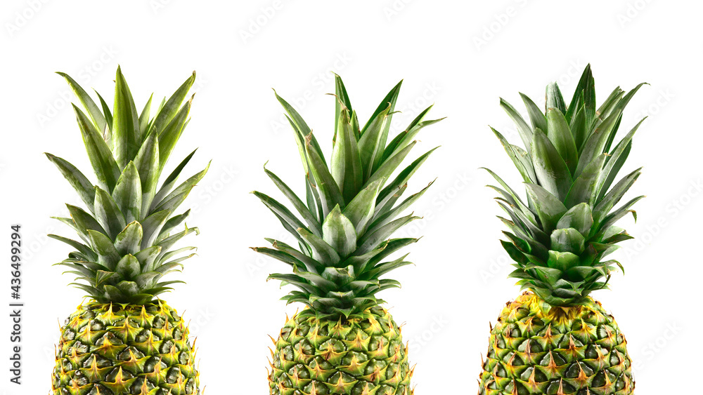 Pineapple isolated on white. Pineapple isolated on white.