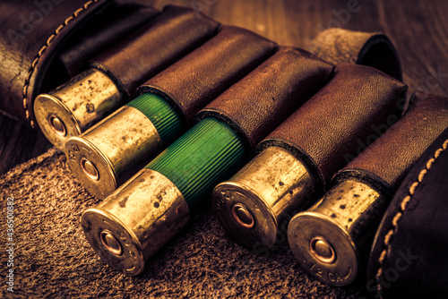 Hunting ammunition 12 gauge in leather bandolier on a wooden table. Focus on the cartridges photo
