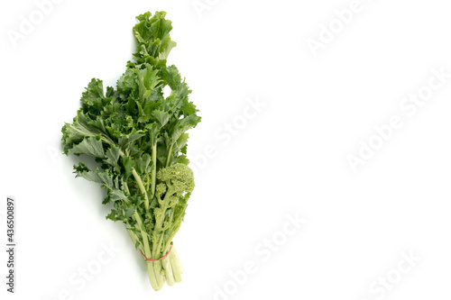Bunch of fresh turnip tops , italian cime di rapa, isolated on white background copy space, label, card photo