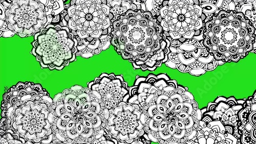 Black and white flower blooming pattern for coloring book. Doodle floral drawing style
