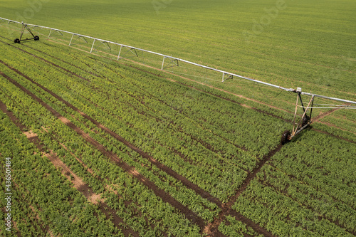 Aerial view of center pivot irrigation equipment watering green soybean seedlings on farm plantation