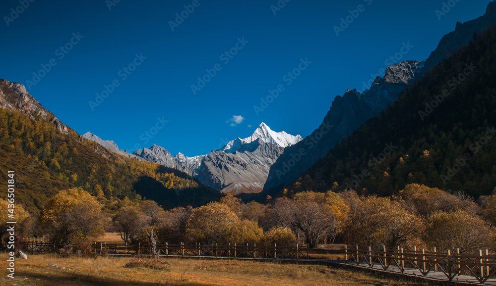 Autumn scenery in Yading Nature Reserve, Daocheng county, Ganzi Tibetan Autonomous Prefecture, Sichuan province of China. The holy peak Yangmaiyong (Jampelyang) can been seen in the background.