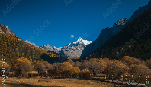 Autumn scenery in Yading Nature Reserve, Daocheng county, Ganzi Tibetan Autonomous Prefecture, Sichuan province of China. The holy peak Yangmaiyong (Jampelyang) can been seen in the background. © A_visual