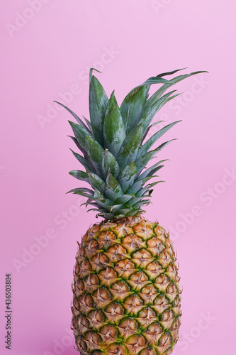 colour photography of a pineapple against pink background