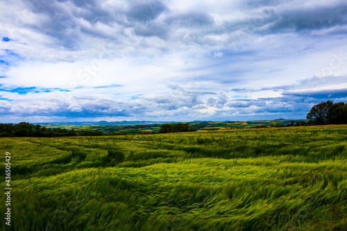 field and blue sky