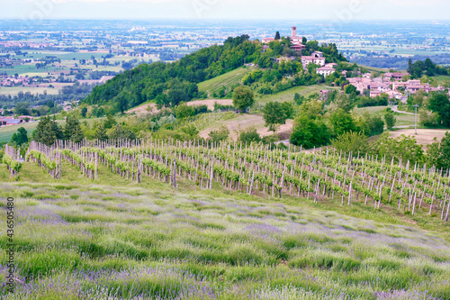 Panorama of the hills of Oltrepo Pavese, countryside area in Northern Italy, Lombardy Region, at the borders with Emila. this area is famous for its valuable red wines and cold cuts production. photo