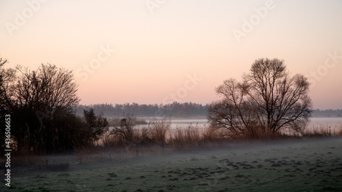 Foggy sunrise in Dutch Biesbosch National Park © roelmeijer