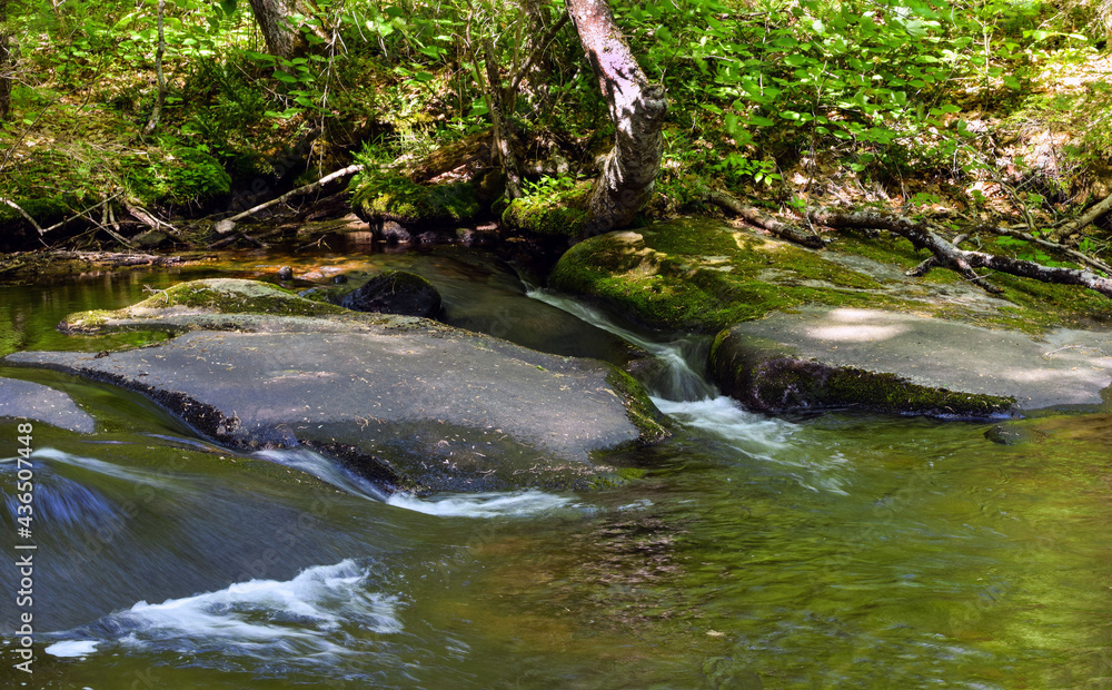 Fototapeta premium flowing water of willard brook
