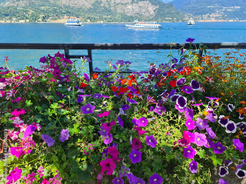 Fiori e natura in primavera, davanti al lago di Como
