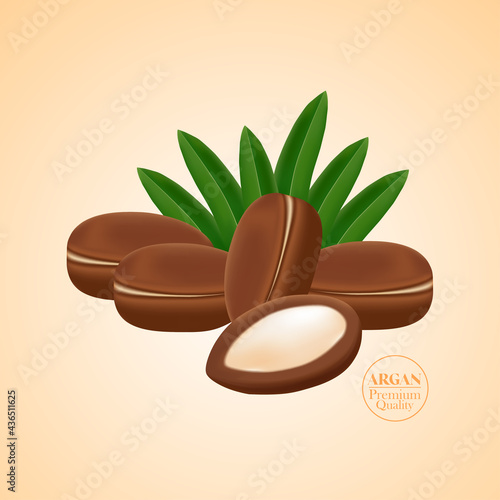Argan extract for hair product vector illustration.