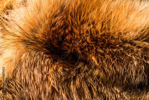 Fur close up view