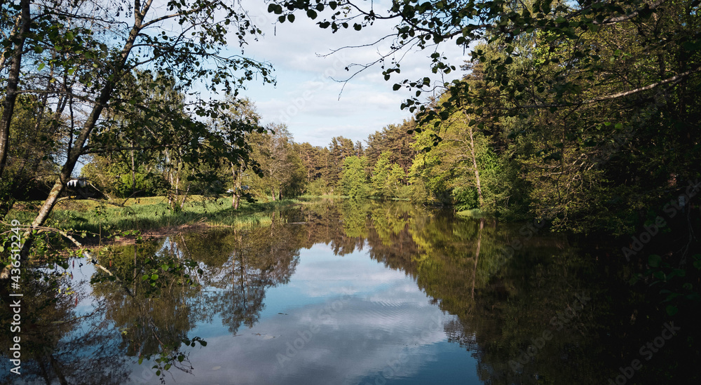 a bright and sunny spring day by the river with blossoming trees and shrubs a bright and sunny spring day by the river with blossoming trees and shrubs