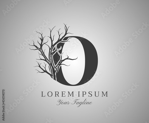 Letter O With Dead Tree Design Logo Icon. Creative Alphabetical Creepy Dry Tree Brach Nature Logo Template.