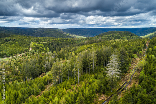 Sunlight on treetops of Black Forest with dark dramatic clouds in the background, near Freudenstadt, Germany © CA Irene Lorenz