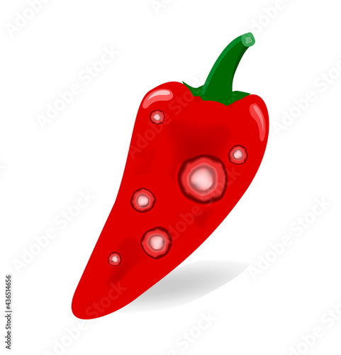 sweet Pepper fruit are damaged by Anthracnose (blight disease) or Colletotrichum Fungus. Pathogens cause to rot, black circular wound, sagged and wither. Design on white background