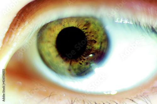 Hazel eye of the person