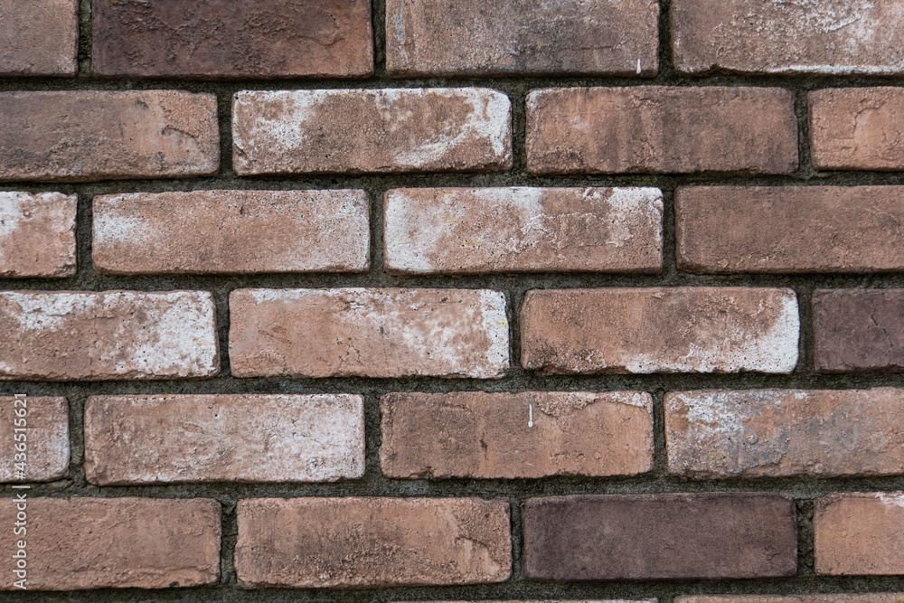 Fototapeta premium 褪せたレンガ