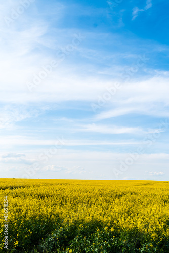 Beautiful landscape of blue sky over agricultural field