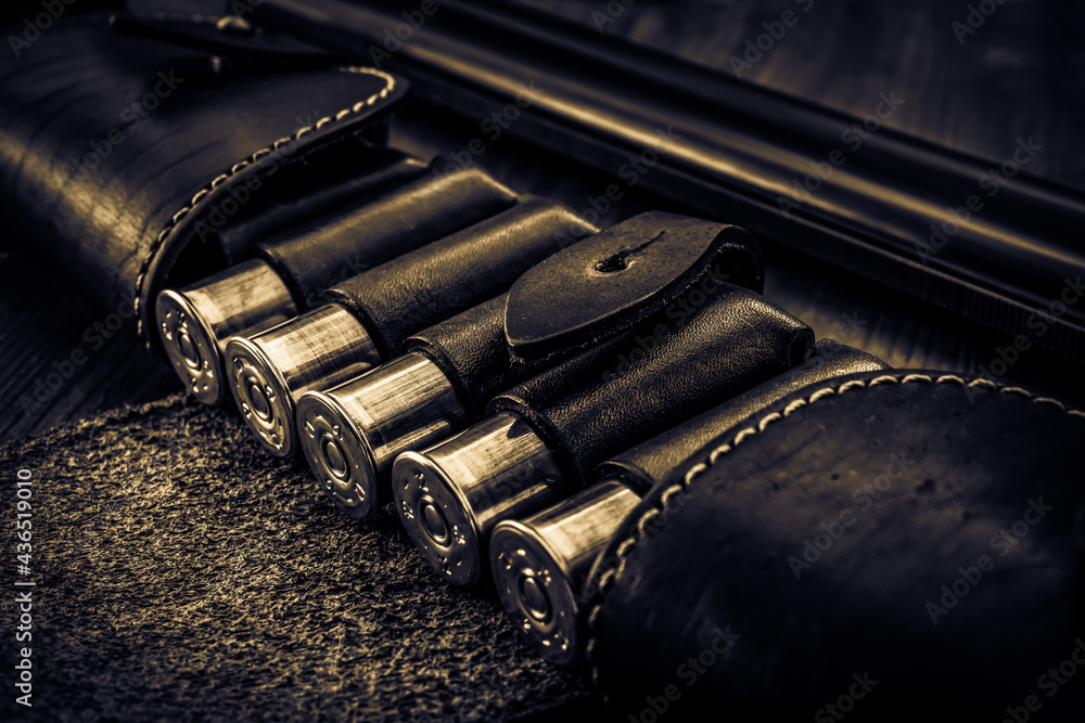Hunting ammunition 12 gauge in leather bandolier and double-barreled shotgun on a wooden table. Focus on the cartridges