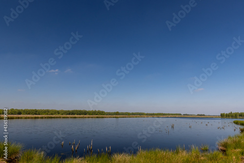Lake in Dutch peat landscape under bright blue sky