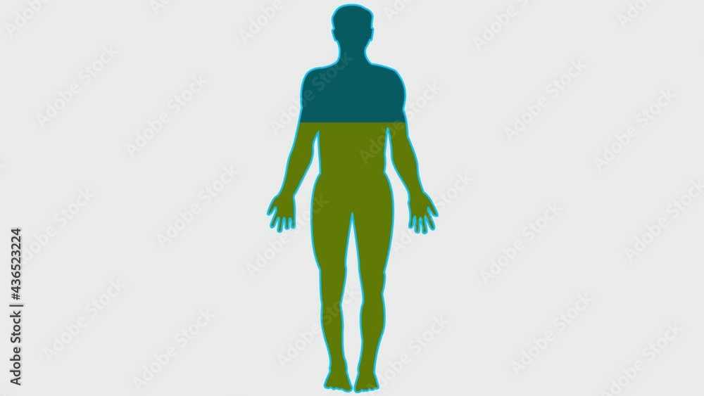 Renewal of forces, animation. Silhouette of a man with renewable energy Renewal of forces, animation. Silhouette of a man with renewable energy