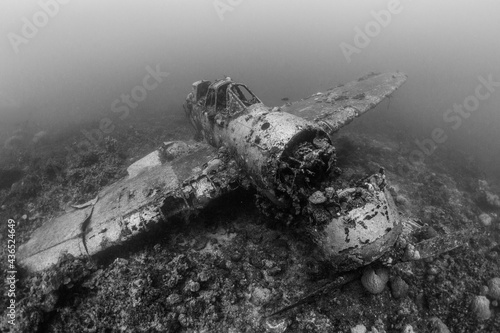 Jake, Japanese World War II sea plane wreck