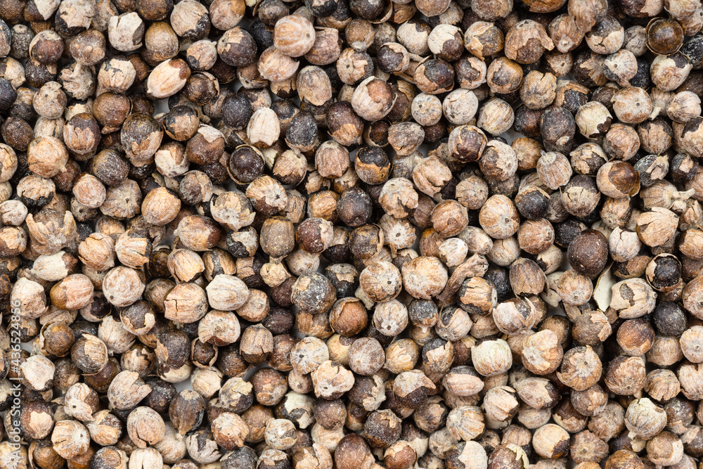 background - monk's pepper (vitex) close up background - monk's pepper (vitex) close up