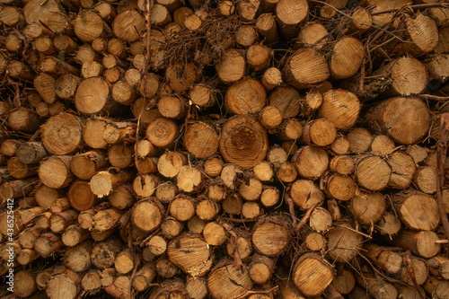 Pile of brown wood logs