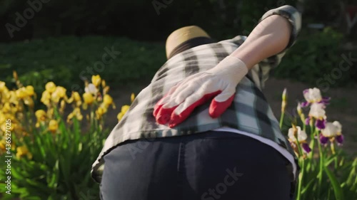 A woman gets up from the flower bed and clutches her back in pain. Gardening fatigue. Real time. Close up..