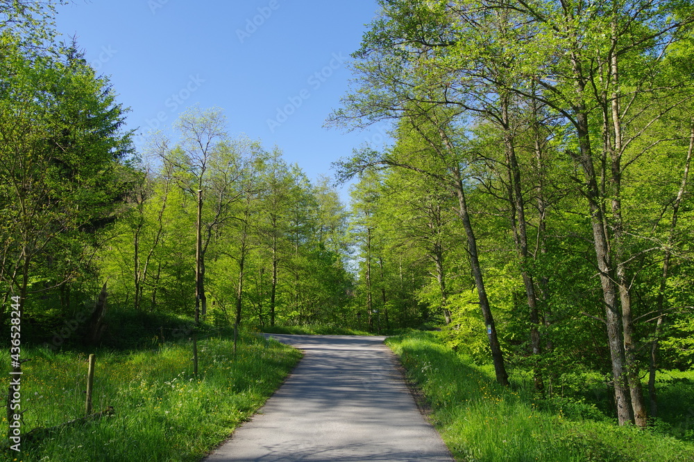 Fototapeta premium Landschaft 