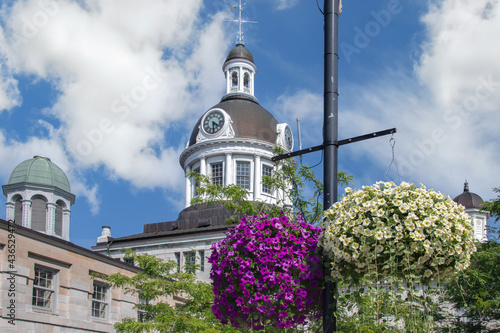 Large baskets of purple and white petunias hanging from black metal poles near Kingston City Hall, dome and clocktower, blue sky and white clouds, nobody photo