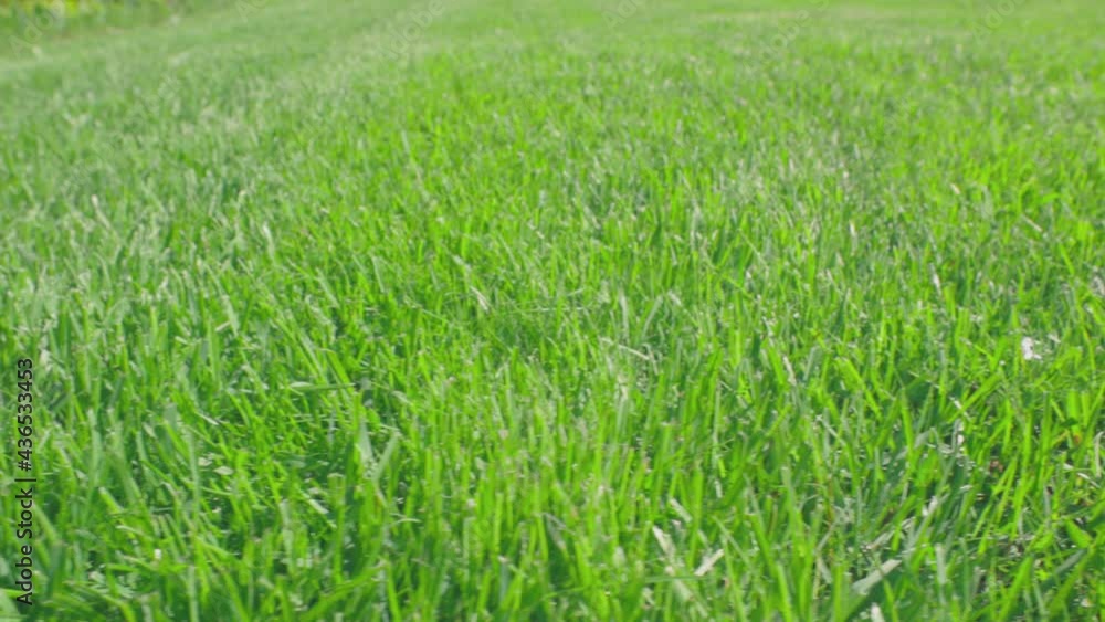 Beautiful view of front yard of private garden. Green grass lawn. Beautiful backgrounds. Sweden. Beautiful view of front yard of private garden. Green grass lawn. Beautiful backgrounds. Sweden.