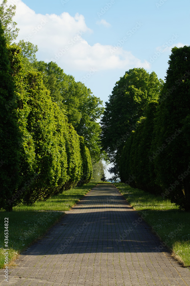 Hauptfriedhof Mülheim an der Ruhr - Friedhofsallee Hauptfriedhof Mülheim an der Ruhr - Friedhofsallee
