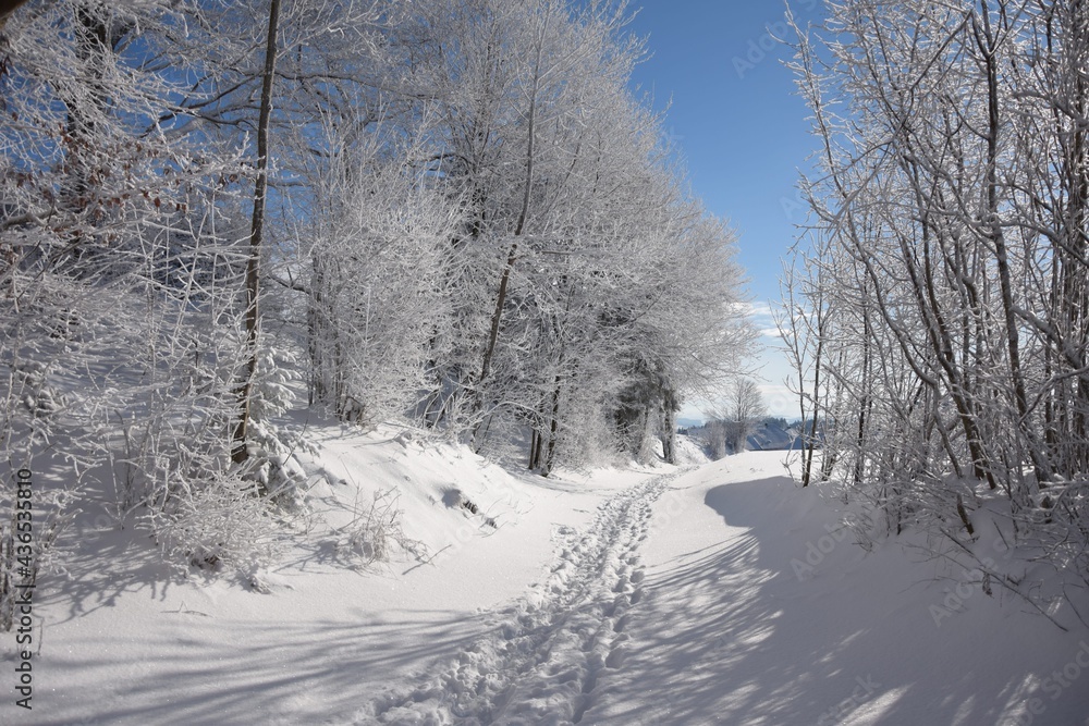 Fototapeta premium Winterwandern