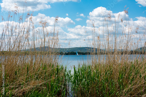lake landscape in summer . Europe Landscape. green grass and blue sky